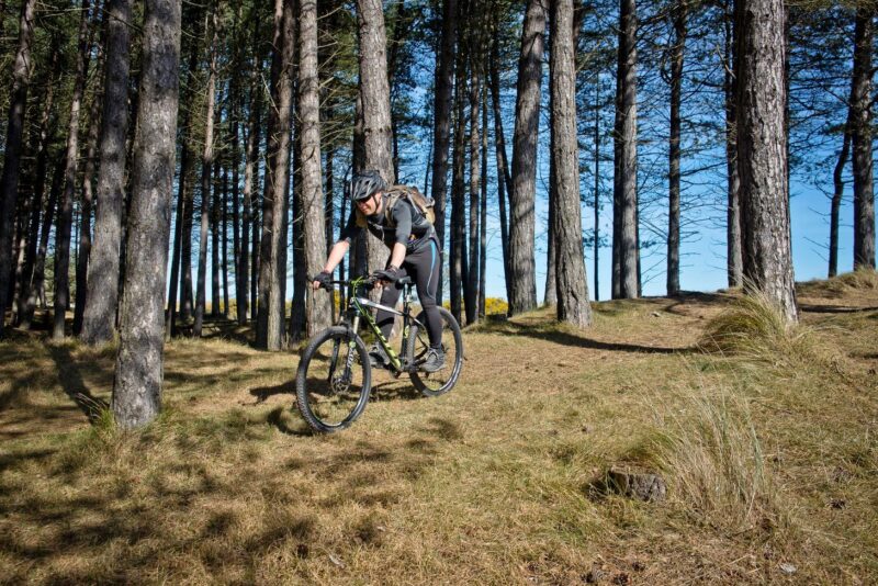 Mountain Biker On A Cycle Route In Tentsmuir Forest